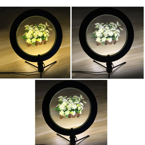 Anillo luz led selfie 16cm con control